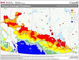 Dry in the north, wet in much of the south