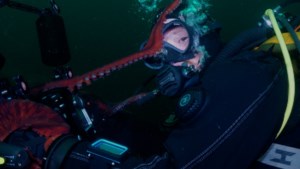 Giant Pacific octopus shoots video of itself after claiming camera from B.C. divers