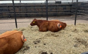 Ag innovation on display at Swift Current centre