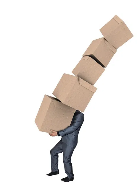 Pro Move