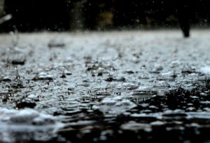 Rain boosts soil moisture, stops few harvest operations