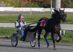 'Part of me is gone': Abrupt end for Fraser Downs track a blow to B.C. horse racing