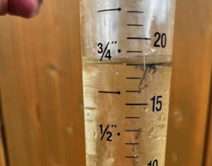 Rain again slows harvest in Manitoba: crop report