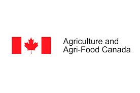 AAFC expects better canola crop than predicted