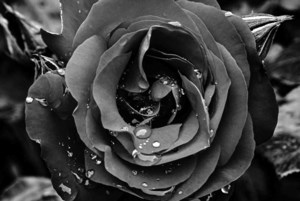 Remembering one of Sask’s darkest cases: the Threinen murders