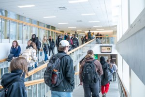 Opinion: A university degree is no longer your ticket to success