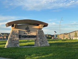 Two 50-year-old Scots Pines inspire the naming of neighborhood