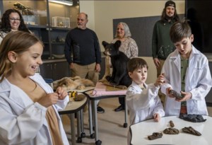 Get your last roar in