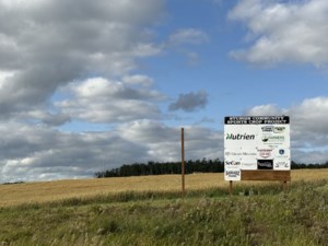 Sturgis Arena Board launches oat crop fundraiser for upgrades