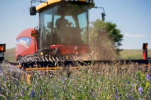 Take care of mental health during harvest