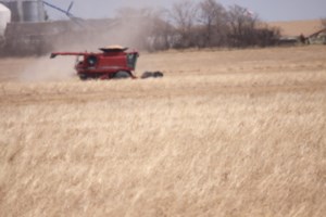 Manitoba harvest is 10% complete: crop report