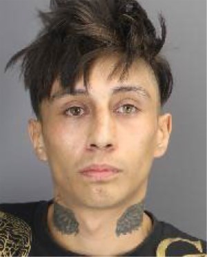 Prince Albert police arrest high-risk offender