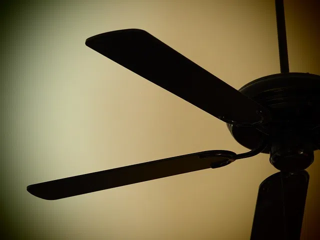 I Will Conquer all Ceiling Fans.