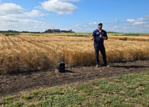 Birds benefit from winter wheat