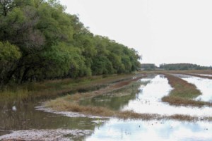 Weather school: Reasons for big rainfall on the Prairies
