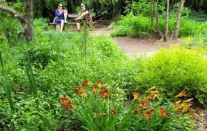 Garden Chat: Gardens at the Saskatoon Forestry Farm Park