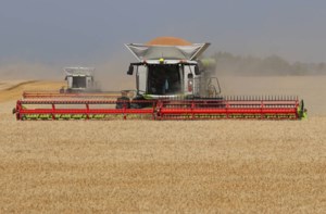 China’s grain imports have slumped big-time