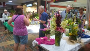 Gardener's Notebook: Warkentin to speak about ‘Succulent Wreaths’