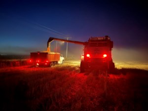 Photo: Harvest in full swing in Outlook and the province