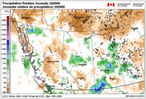 August weather warm but also wet
