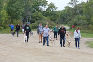 Editorial: City looks to take Hopkins Lake back from geese