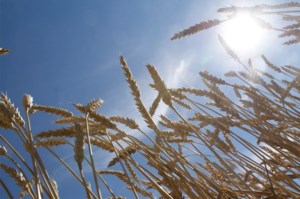 A warm start for fall weather