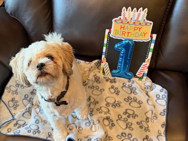 Barkley turned 1 on Friday!