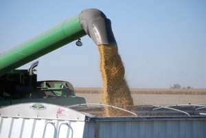 PMRA ruling to impact many soybean growers
