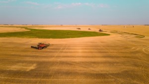 Italian farm group complains about Canadian durum
