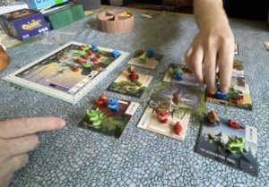 The Meeple Guild: Bird battle better than most