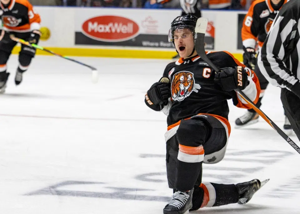 Regina Pats comeback comes up short against Medicine Hat Tigers