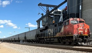 August grain deliveries from Canada decline year-over-year
