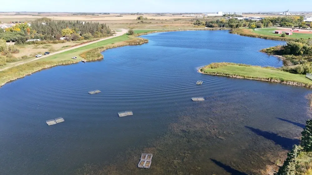 Yorkton launches floating wetlands project at Hopkins Lake