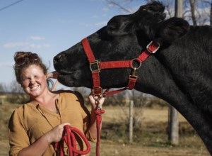 An Alberta farm is home to Beef, the world’s tallest steer