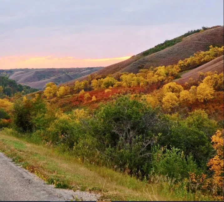 Weather Network releases October forecast