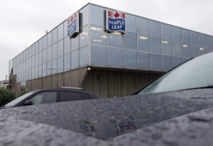 Maple Leaf's pork business spinoff Canada Packers set to debut on TSX