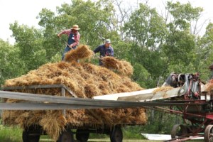 Opinion: Agriculture has always been economic driver