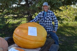 Largest pumpkin tips scales at 540 pounds in Preeceville