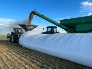 Glen Ewen farmer finds savings storing grain in plastic bags
