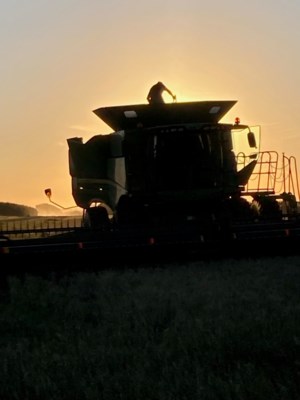 Alberta harvest nearing completion: crop report