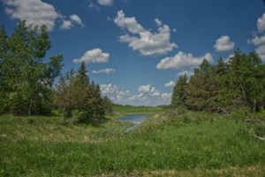 From the Sidelines: Seeking a more realistic bucket list