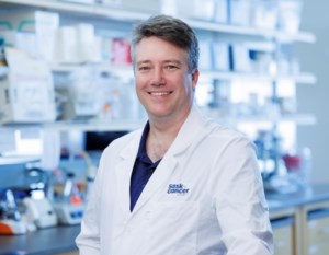 3D tumour models offer new hope in triple negative breast cancer
