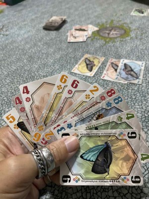 The Meeple Guild: Butterfly Kingdom a fresh rummy-esque offering