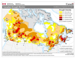 Drought conditions mixed in Saskatchewan