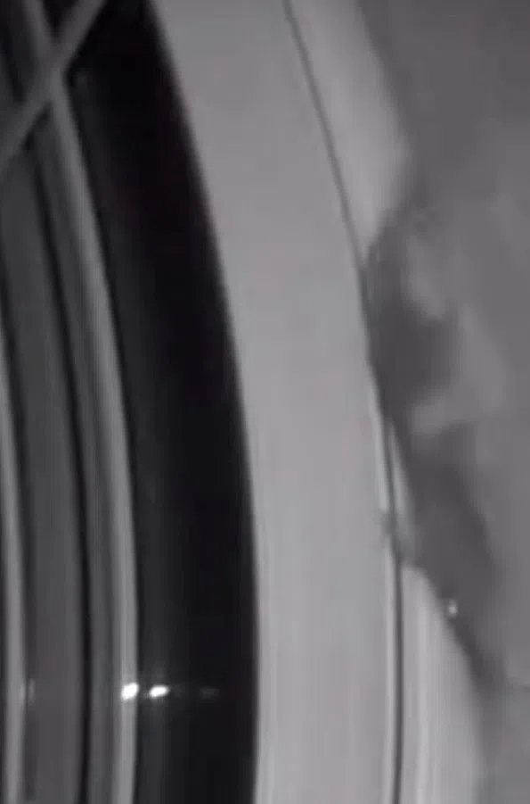 Another Visitor At The Doorbell Camera – And It’s Not Who You’d Expect.