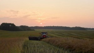 2025 growing season better than expected