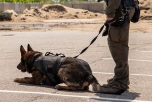 Regina man faces charges after early morning garage break-in