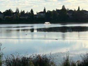 Saskatoon’s Erindale first began construction in 1986