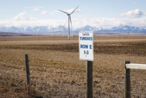 Power utility TransAlta reports Q3 loss, shares down more than 11 per cent