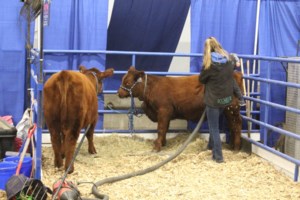 Agriculture This Week: Local importance of week reinforced by fall event